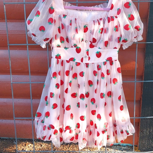 Strawberry Print Womens dress Lonny NWOT Med - Picture 1 of 9